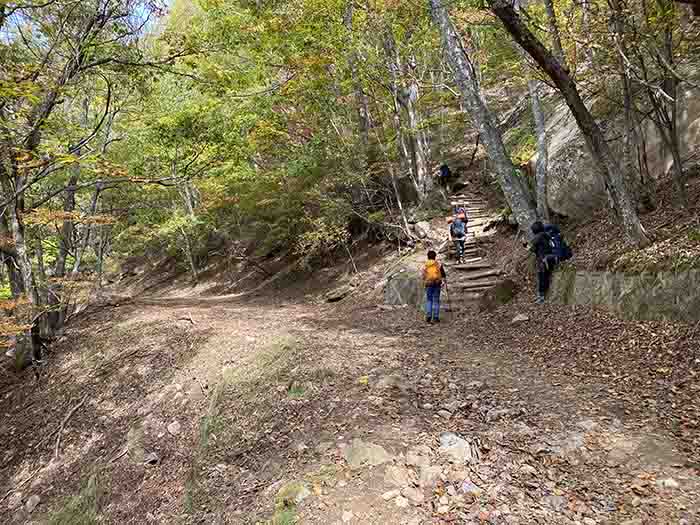 登山道　分岐